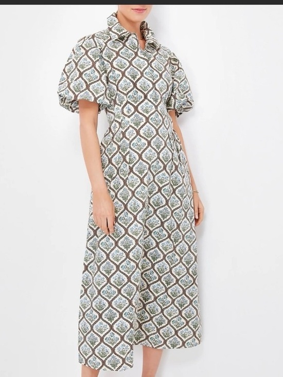 Tuckernuck Dresses & Skirts - Tuckernuck Delaney dress